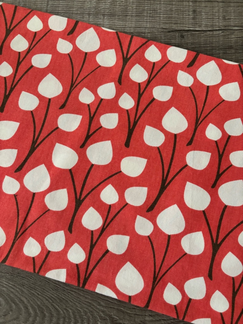 Modern Dwell Studio Baby Kids Fabric